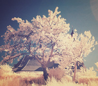 ddos服务器攻击手段